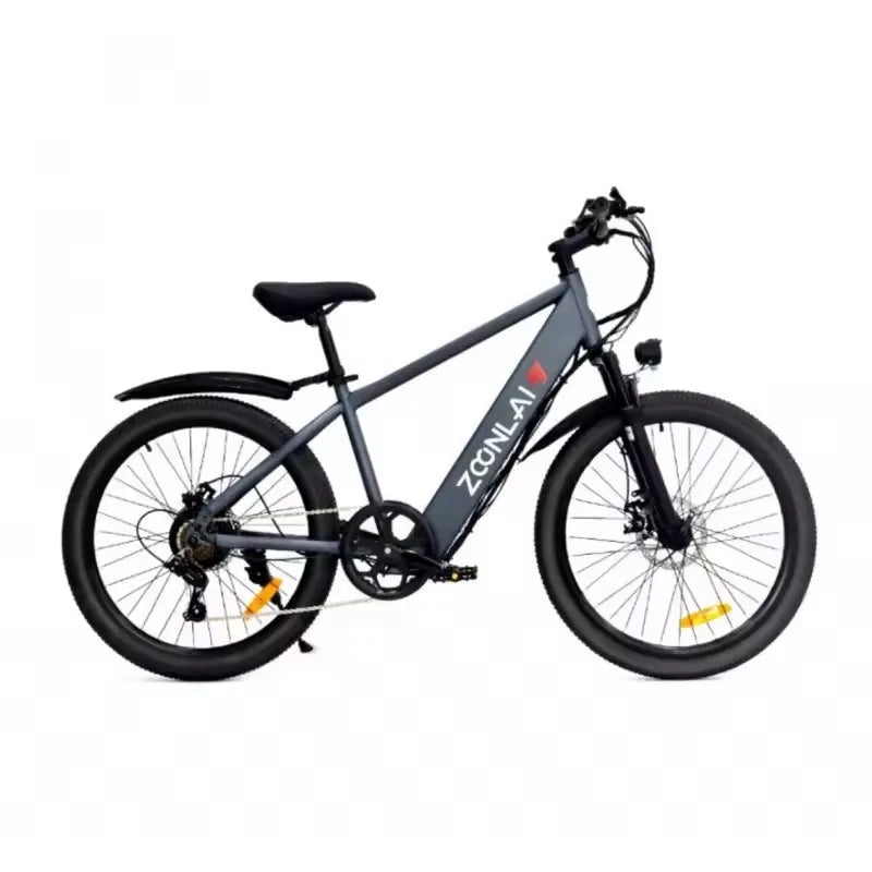 500W motor electric bicycle 36V10AH battery high-looking electric bike,green and environmentally friendly with various functions